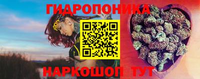 a pvp Кунгур